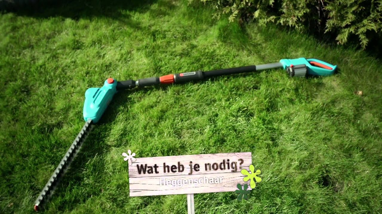 Een kaarsrechte heg
