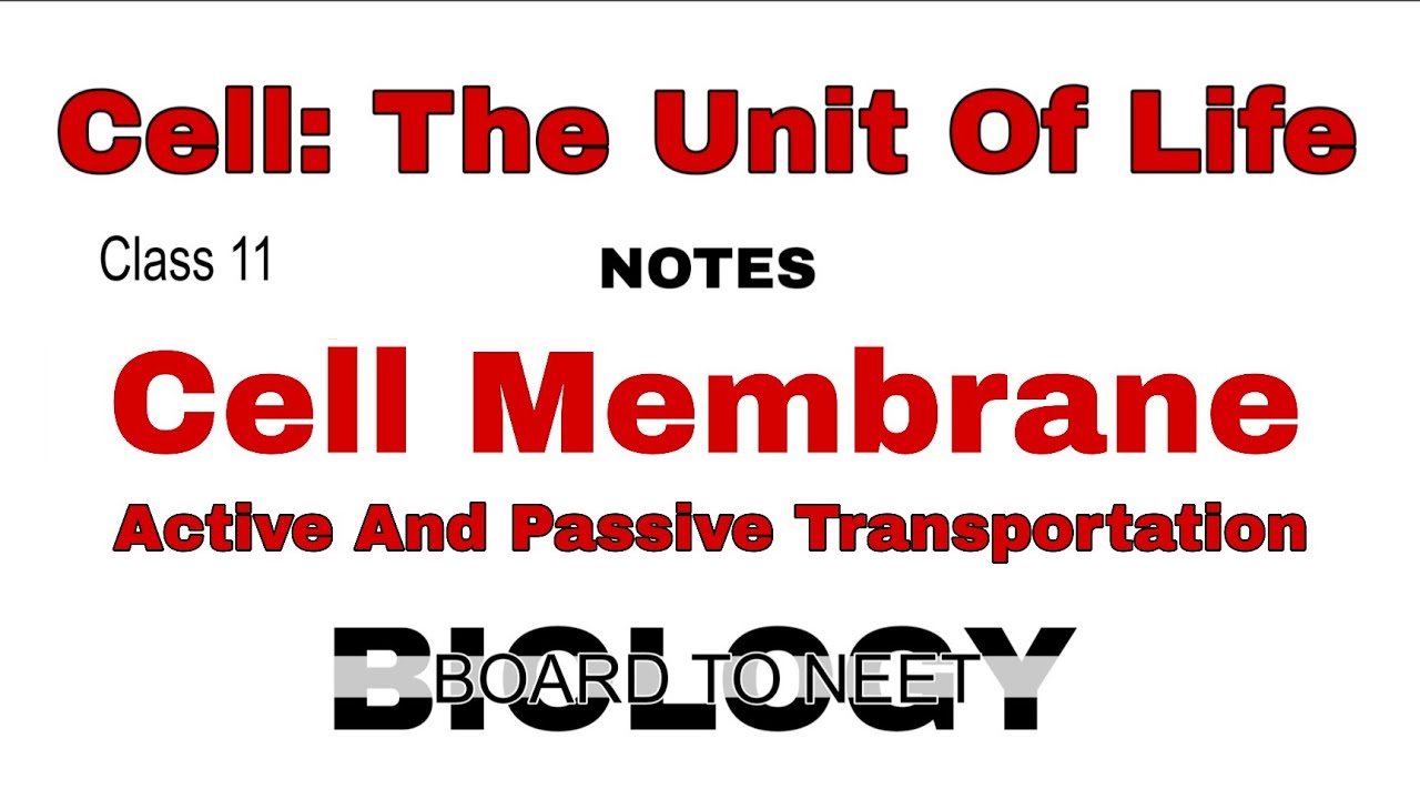 Cell: The Unit Of Life-Cell Membrane (8.5.1) | Biology Board To Neet 