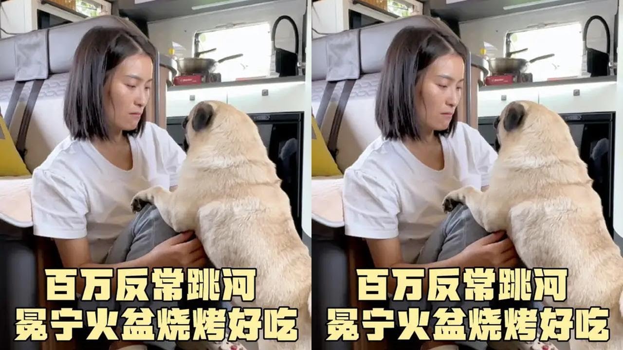 百万反常跳河，把燕子吓坏了，尝冕宁火盆烧烤，小乳猪太好吃了#冕宁火盆烧烤 #坨坨肉 #房车旅行