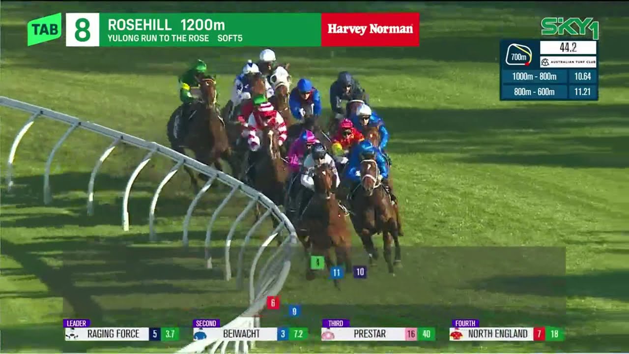 Run To The Rose 2025 - TEMPTED (3YO SWP G2) Group 2 Rosehill 13 September