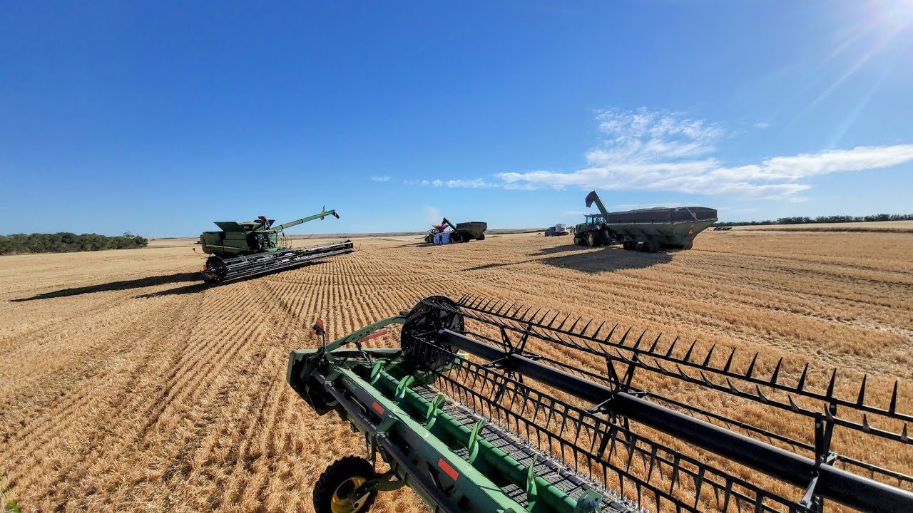 2022's Best Crop - Barley!