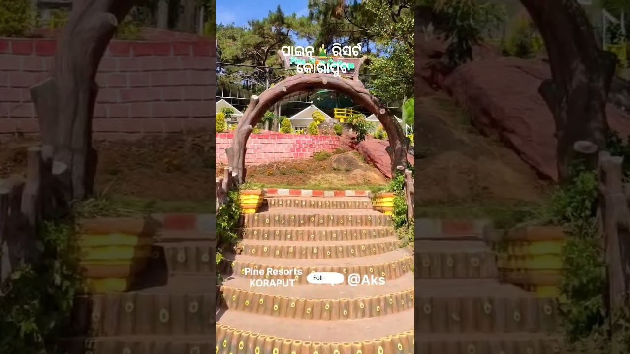 koraput ra pine resort #realstorys #viralvideo #tourisiom