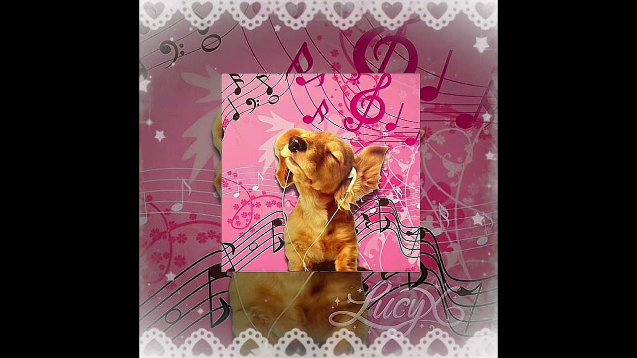 ❀ 𝙋𝙇𝘼𝙔𝙇𝙄𝙎𝙏 𝙁𝙊𝙍 𝙔𝙊𝙐!!! 𝙄𝙢𝙖𝙜𝙞𝙣𝙖𝙩𝙞𝙤𝙣? 𝙂𝙧𝙚𝙖𝙩! 💞 #cats 