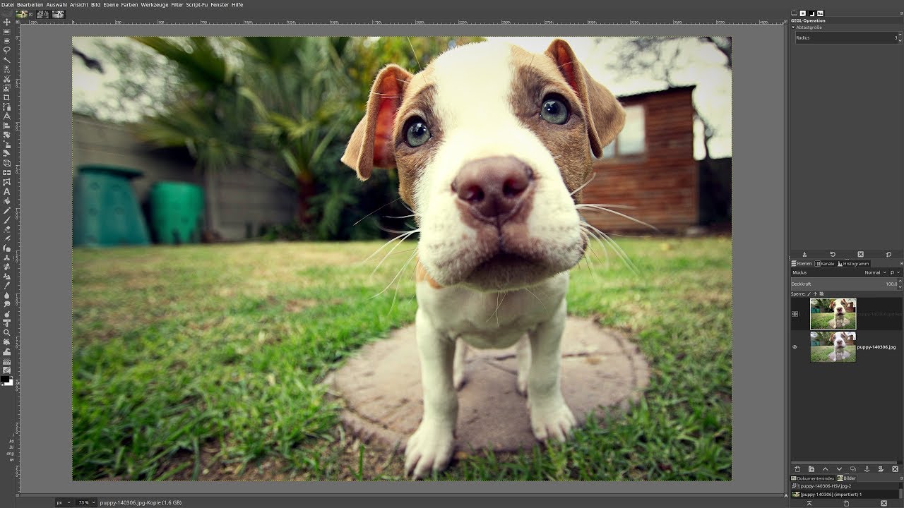 Gimp 2.10: So steigert man die Farbe und die Schärfe von Fotos [4K]