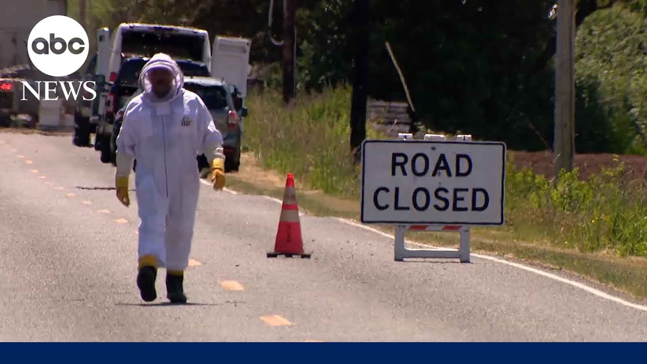 Millions of honeybees abuzz after truck overturns in Washington state