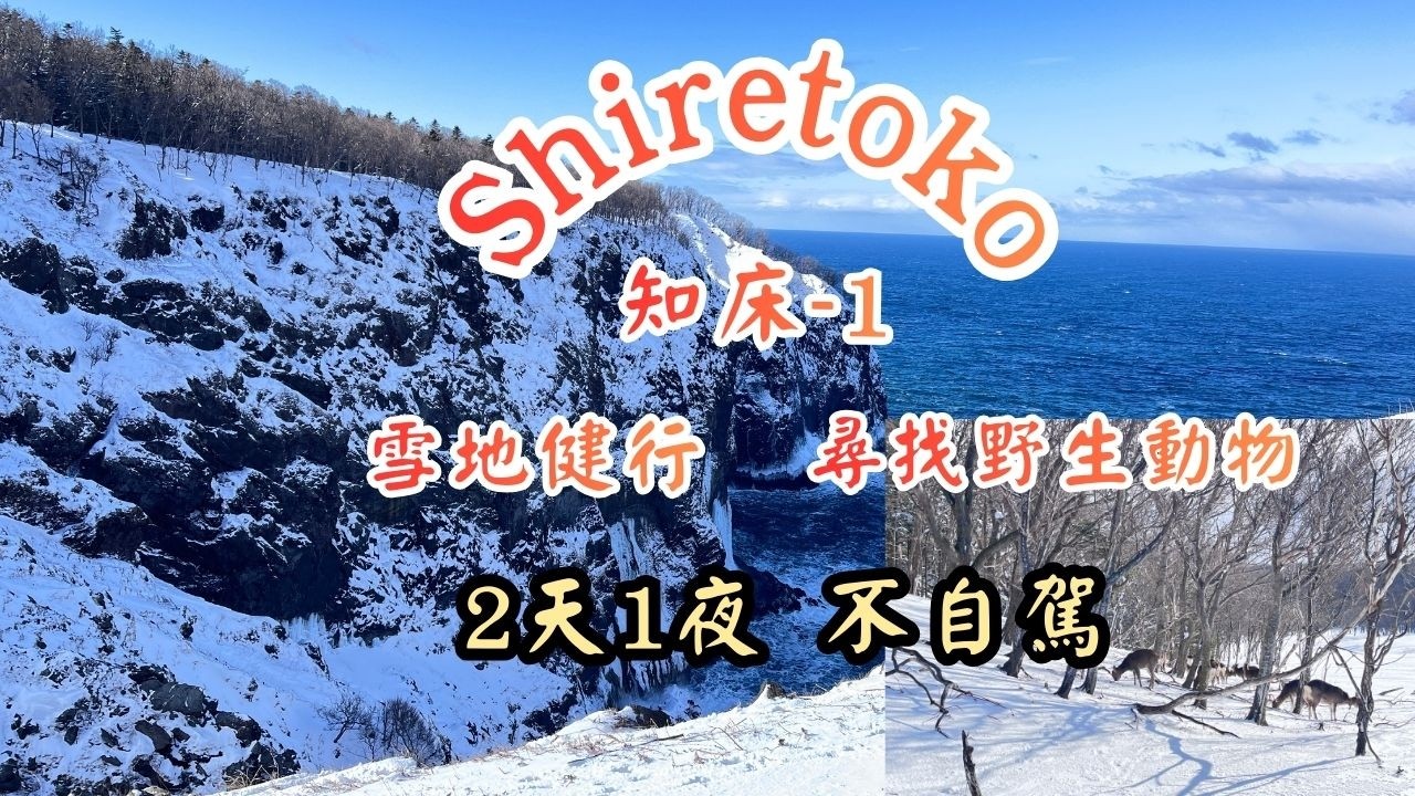 【冬季限定】知床｜雪鞋健行如何報名？ 野生動物觀察之旅｜Shiretoko Snowshoe Hiking