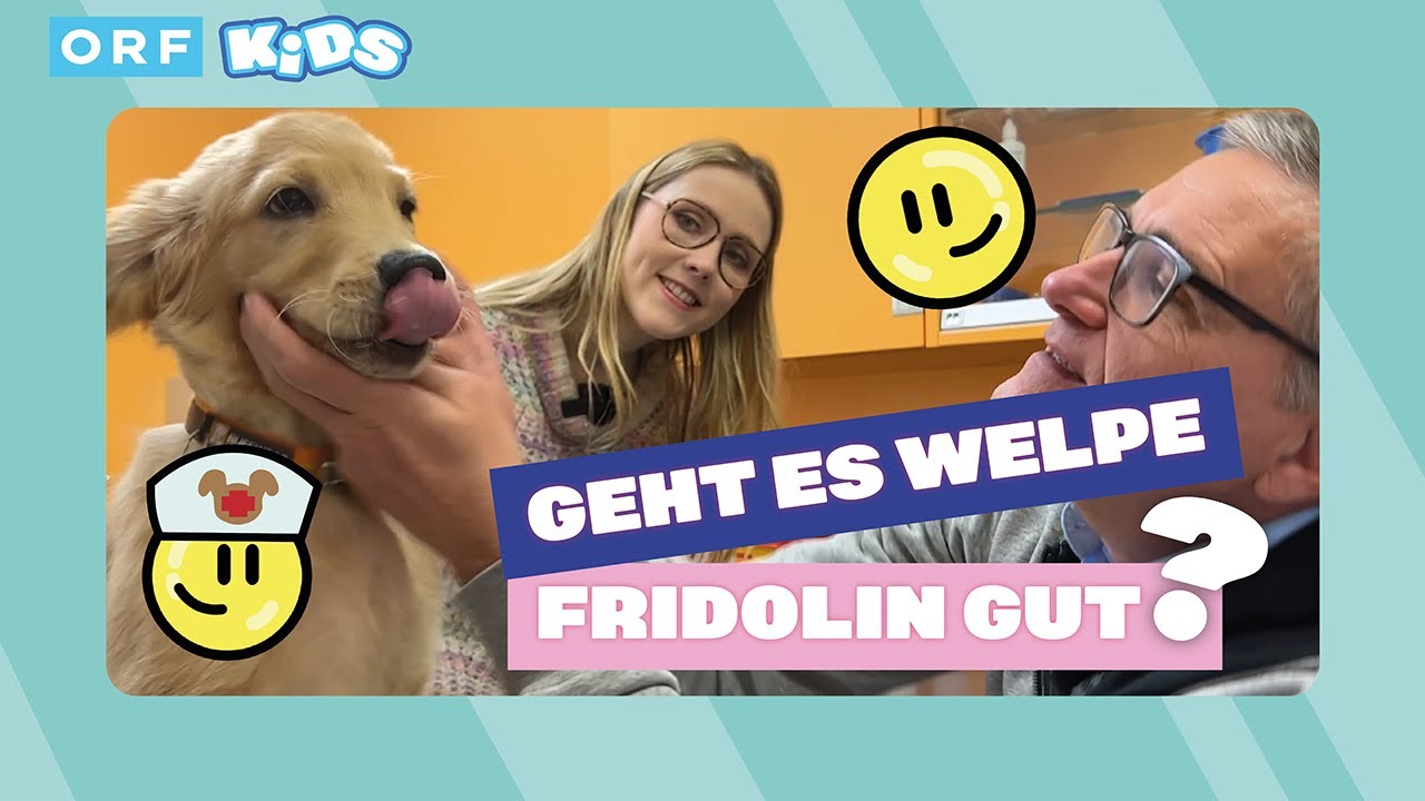 Ein Tag beim Tierarzt | Hallo, was machst Du?
