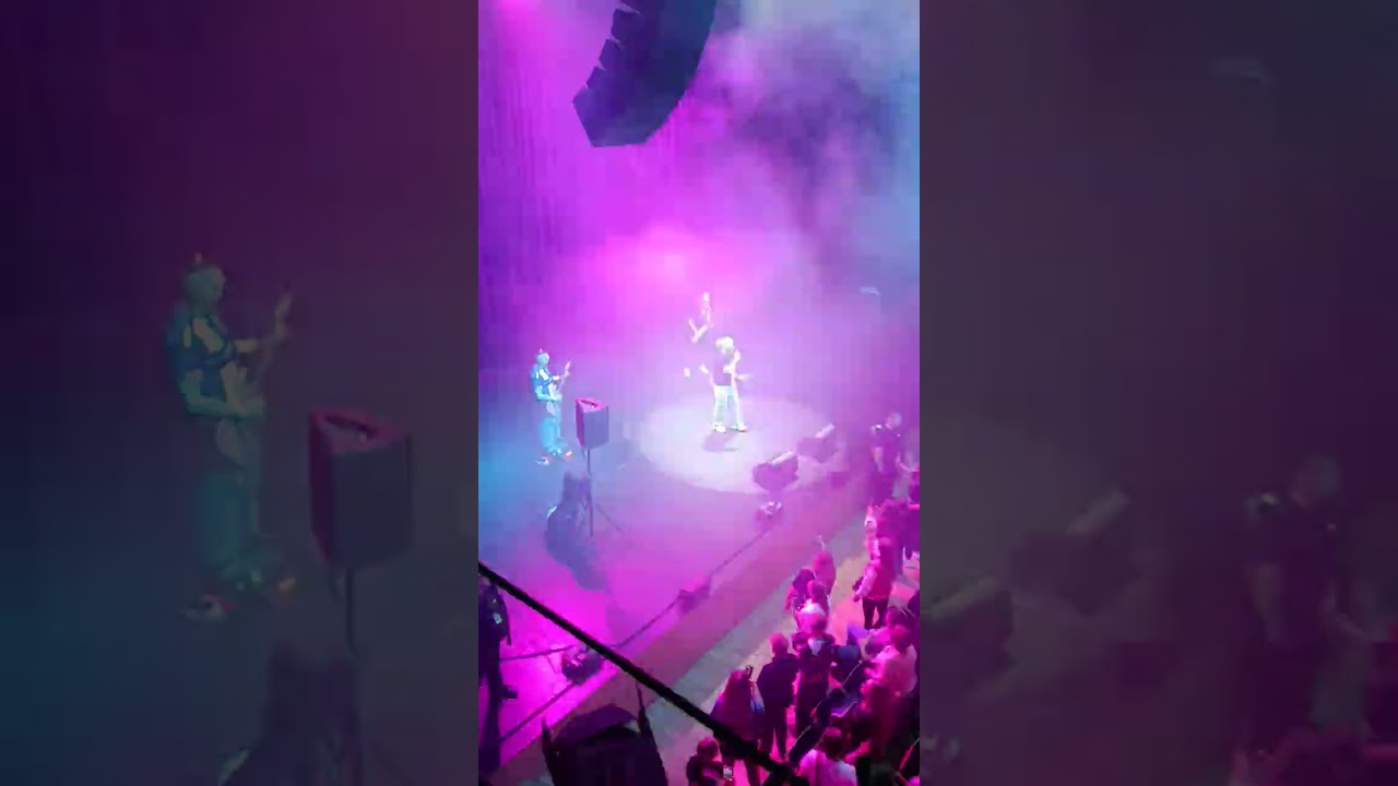 Koncert 