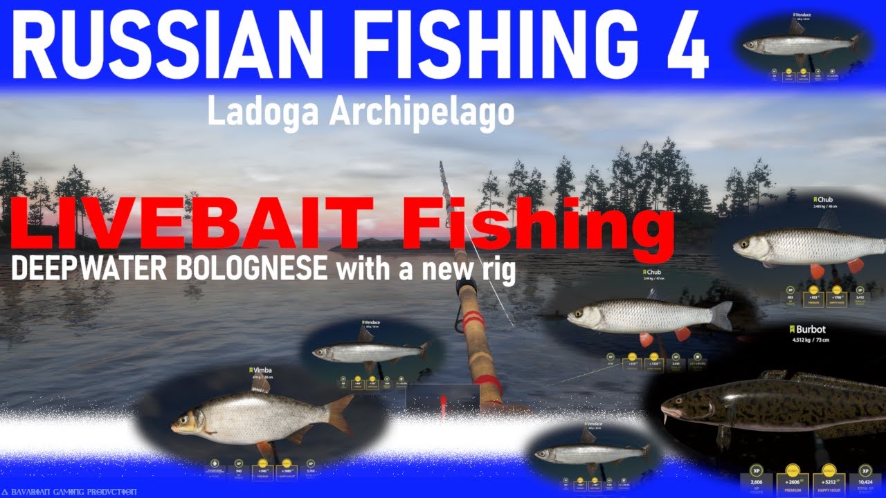 RUSSIAN FISHING 4 - Ladoga Archipelago PART 1 - Deepwater Bolognese & Live bait Fishing!!!