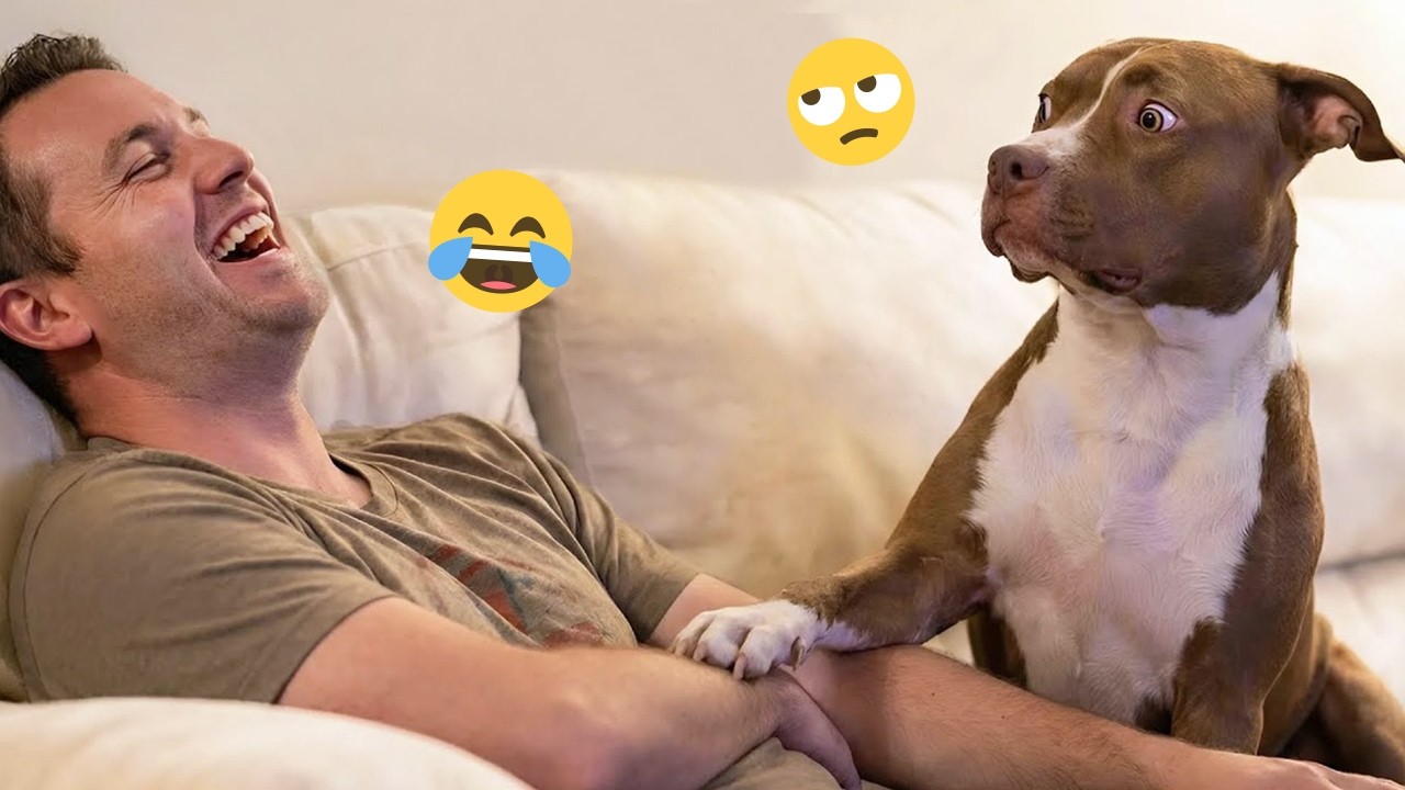 I dare you not to LAUGH at these FUNNY DOGS 😁🦮 - Best Funny Animals Videos 2025 #263