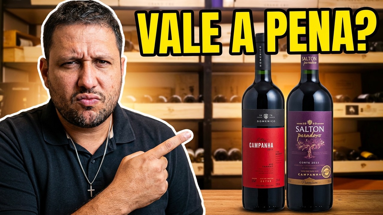 Vinho salton quais o vinho vale a pena 🍷