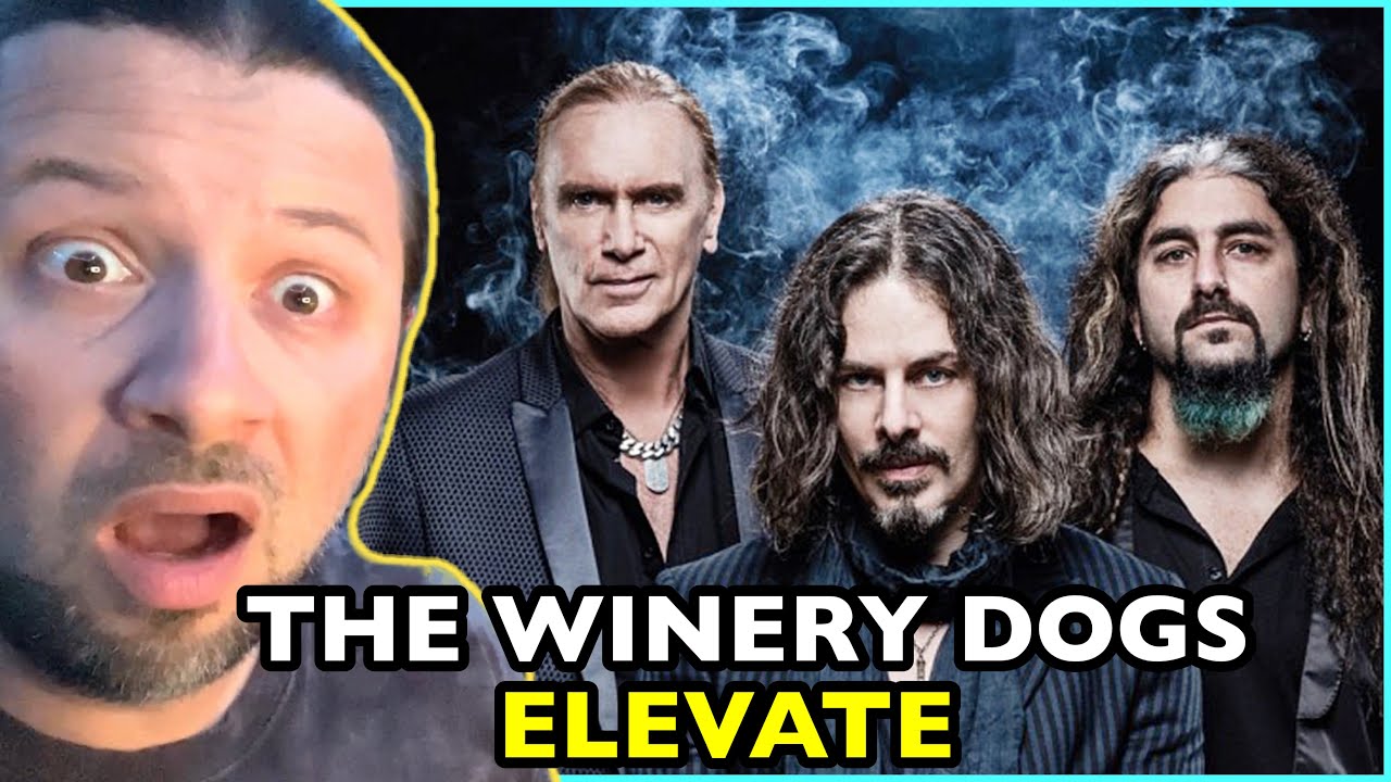 THE WINERY DOGS Elevate [Mike Portnoy Billy Sheehan Ritche Kotzen] | REACTION