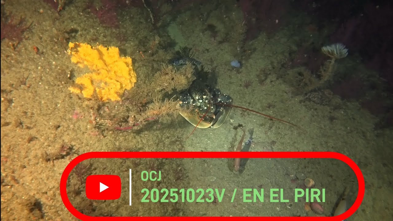 20251023V OCJ, BUCEO EN BUEU EN EL PIRI, CON GAEL Y AGUS.