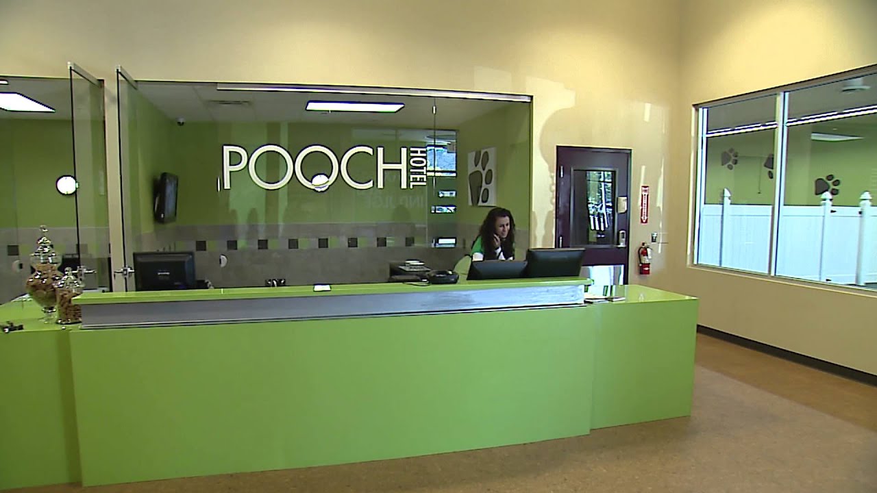 Pooch Hotel