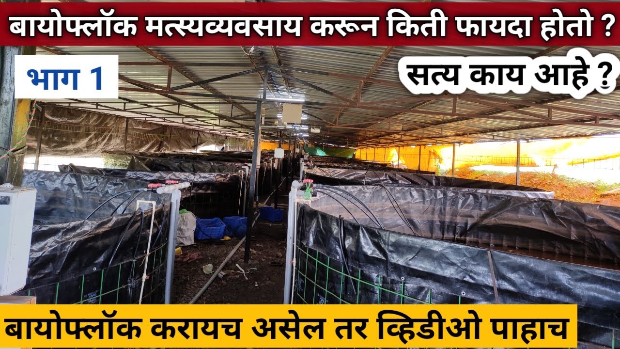 भाग 1 Biofloc fish farming करून शेतकऱ्याला नक्की किती फायदा होतोय ? Fish farming in maharashtra