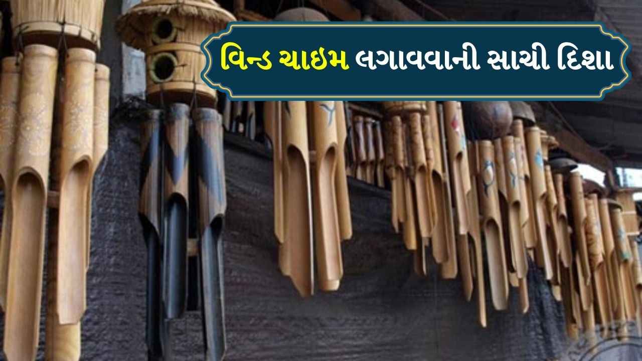 Fengshui Tips: ઘરે વિન્ડ ચાઇમ લગાવી રહ્યા છો તો આ મહત્વપૂર્ણ નિયમોનું ધ્યાનમાં રાખો | TV9Gujarati