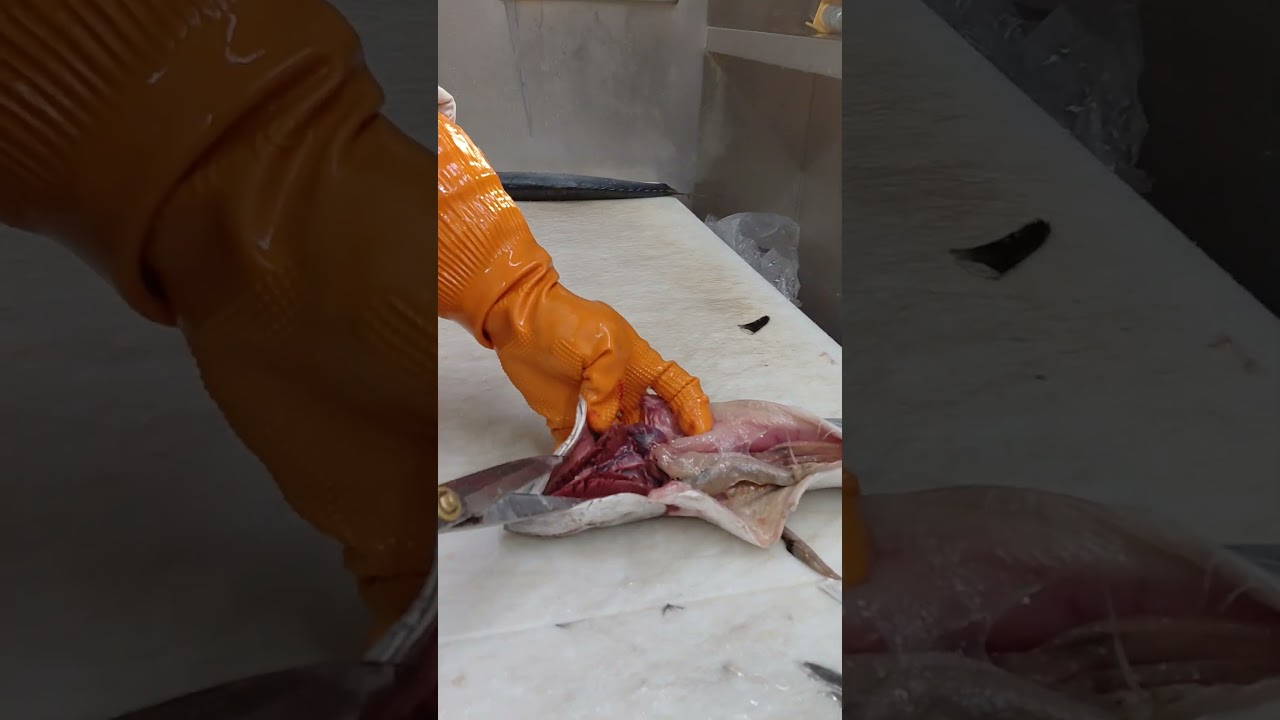 #Spanish mackerel #Cut 🦈🐙 ASMR Clean& Cut it in 5 pieces ✨️💥