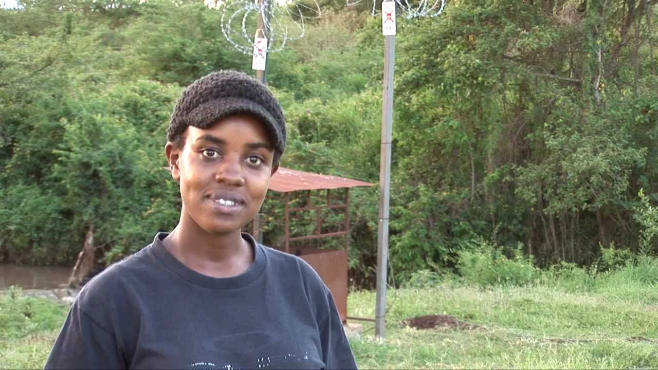 Solar-powered irrigation