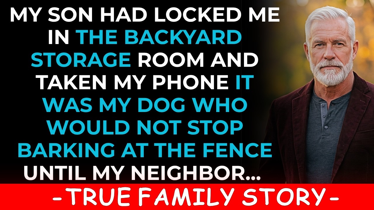 My Son Had Locked Me In The Backyard Storage Room My Dog Would Not Stop Barking..