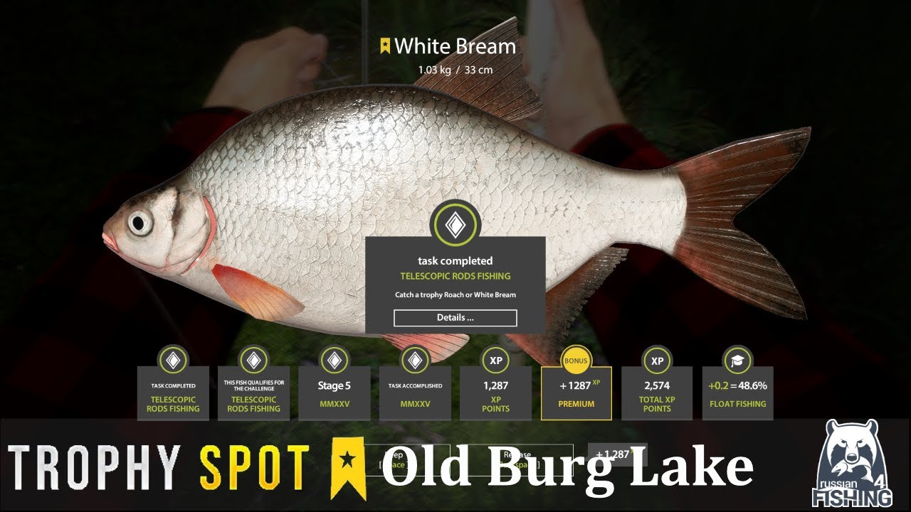 Russian Fishing 4 | Old Burg Lake trophy White bream spot