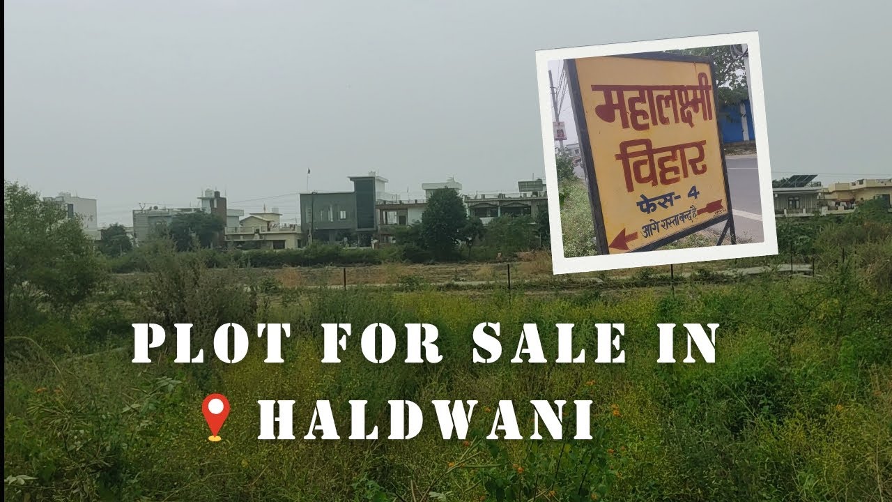 ||महालक्ष्मी विहार 4 वासुदेव पुरम (पाल कॉलेज) RTO रोड हल्द्वानी मै बेहतरीन आवसीय प्लॉट|| 🛣️🌲