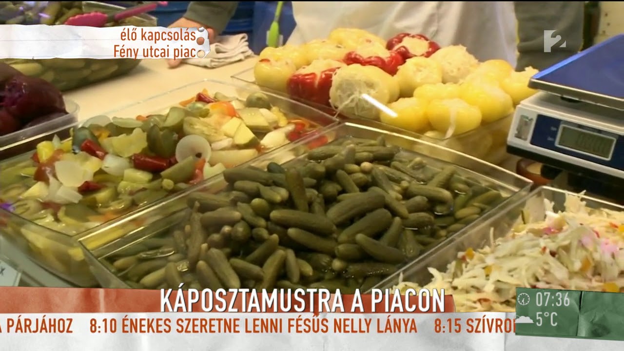 Bay Éva elárulta, milyen szuper ételeket lehet készíteni káposztából - tv2.hu/mokka