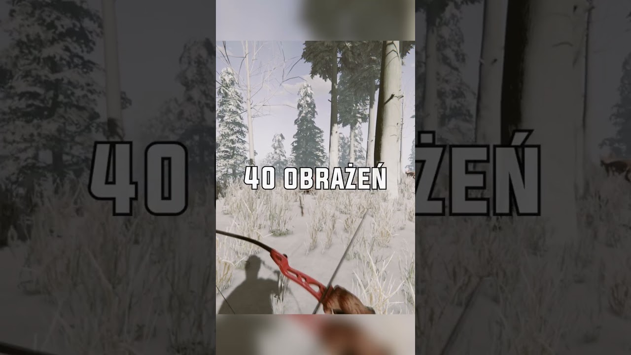 Kt&oacute;ra broń jest najlepsza?