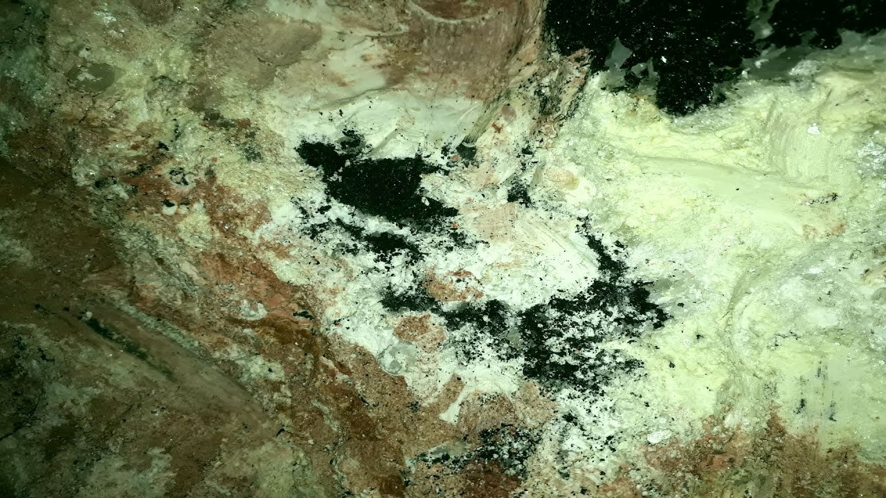 Chegando perto da água marinha