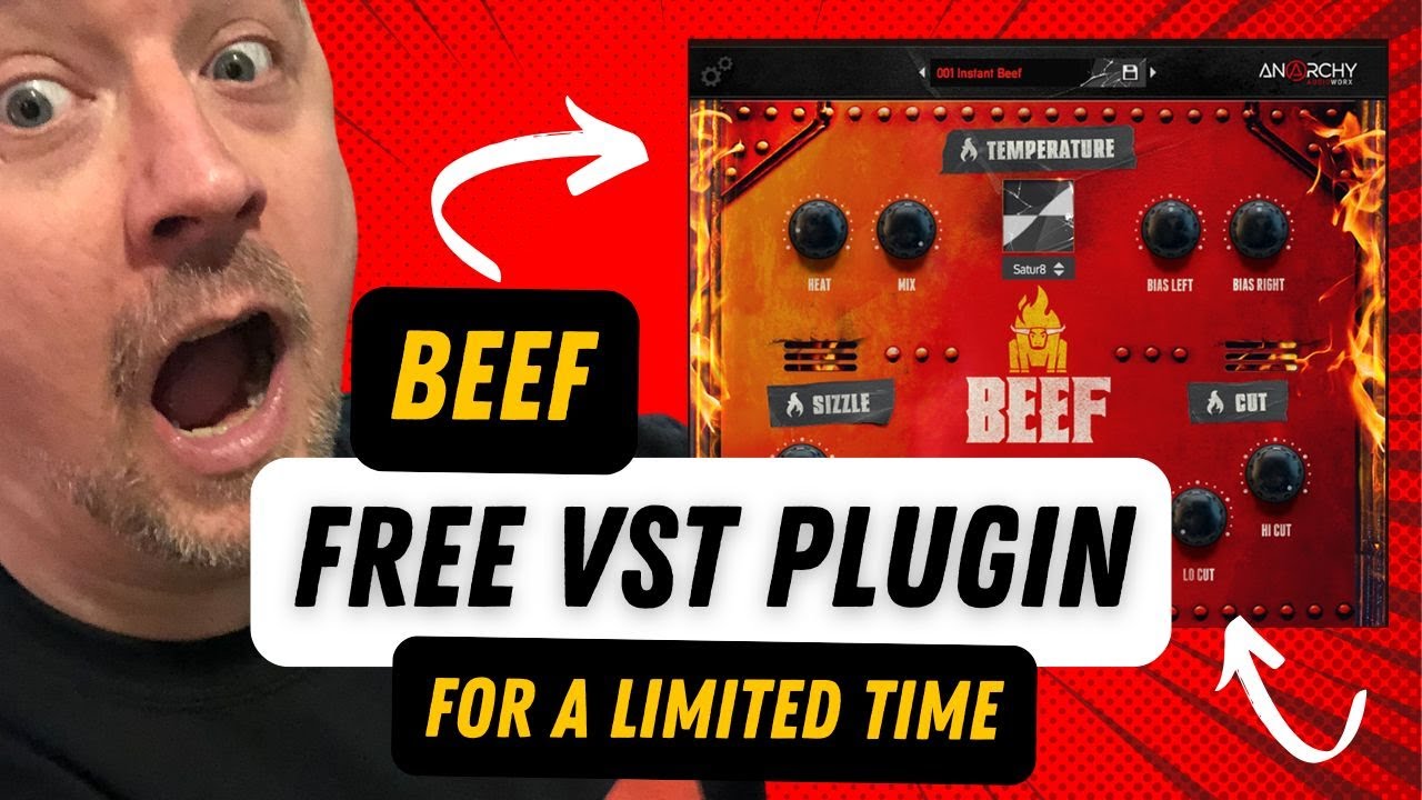 FREE VST Plugin for Black Friday 2024 (BEEF by Anarchy Audioworx)
