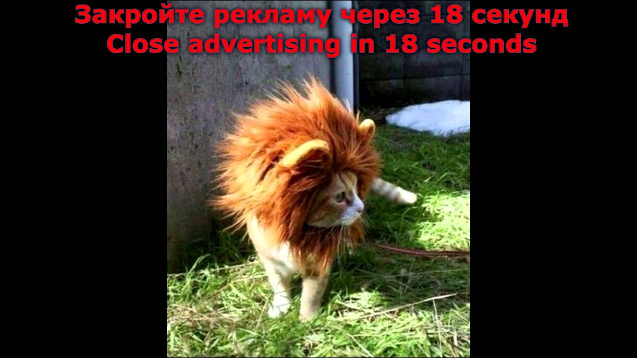 Funny Pranks   Pranks 2014   Funny Videos   Funny Fails   Funny Pepole   Funny Videos 0242