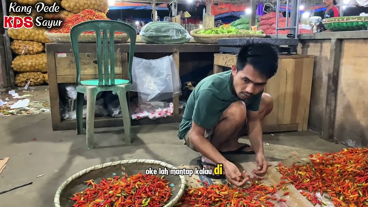 Sayuran MAKIN MAHAL CABE Anjlok #cabe #sayuran 