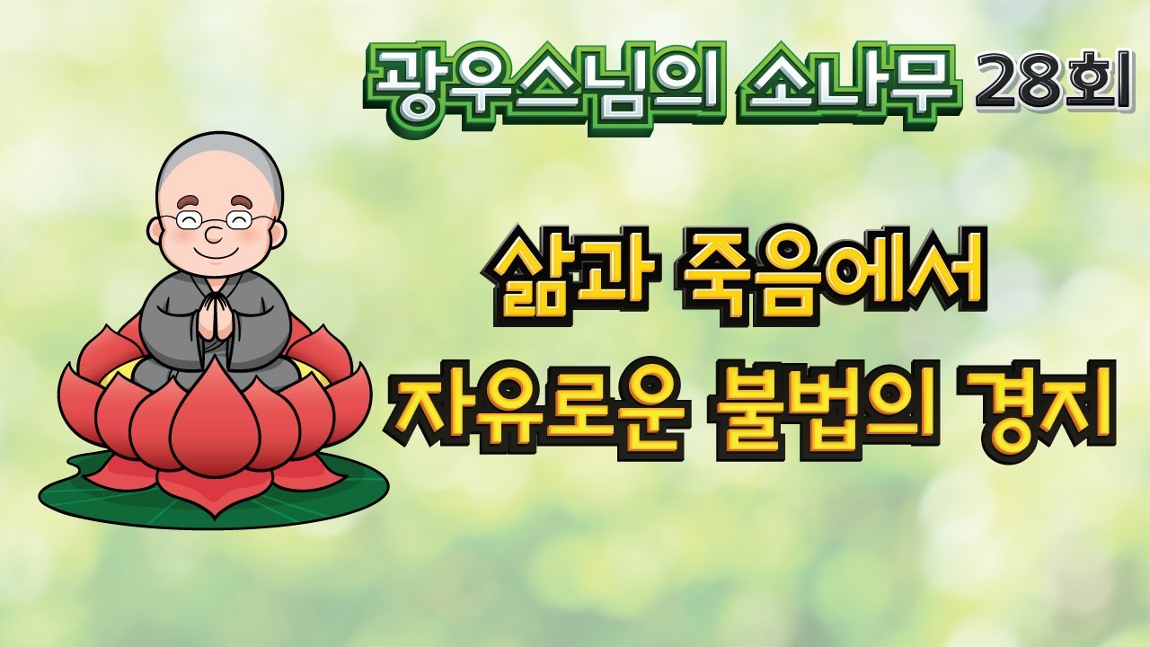 삶과 죽음에서 자유로운 불법의 경지 | 광우스님의 소나무 28회