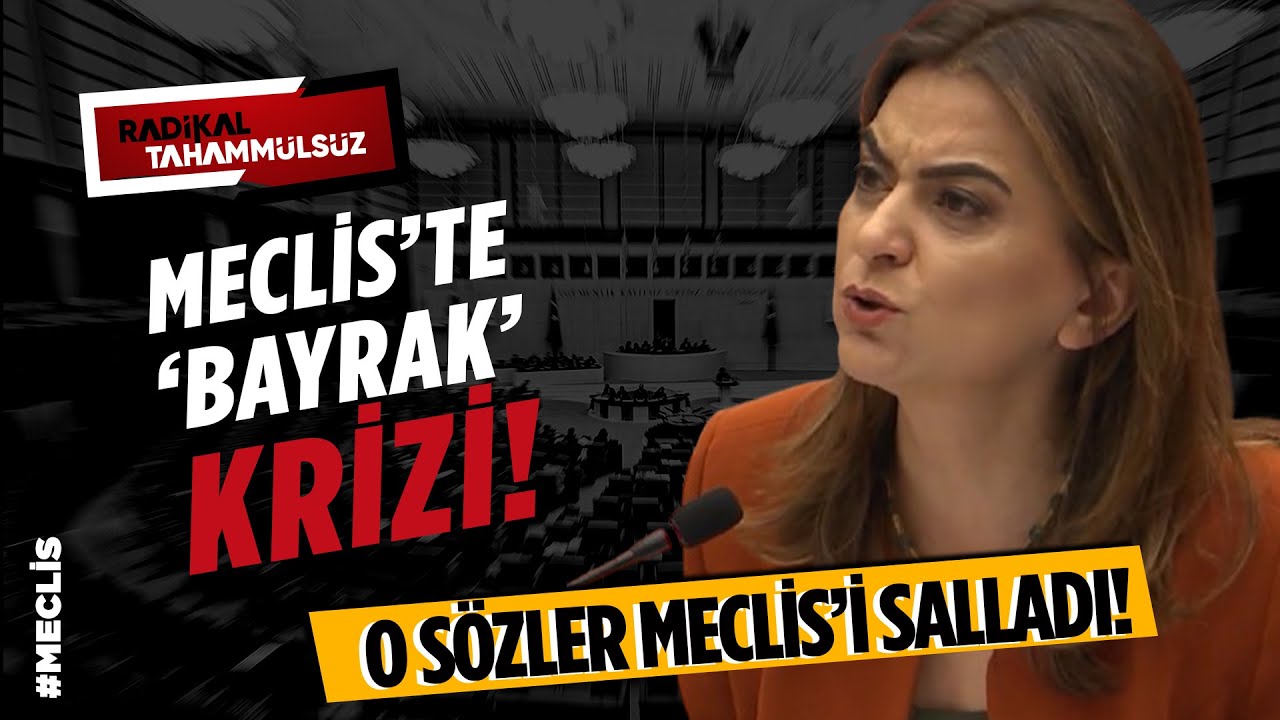 Meclis'te ŞOKE EDİCİ SÖZLER! DEM Parti'den 'Türk bayrağı' isyanı | ARŞİV