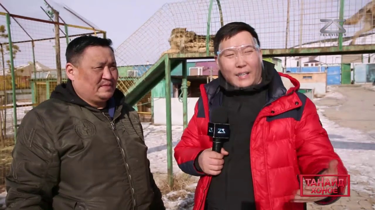Танайд хоноё - Амьтны хүрээлэнд