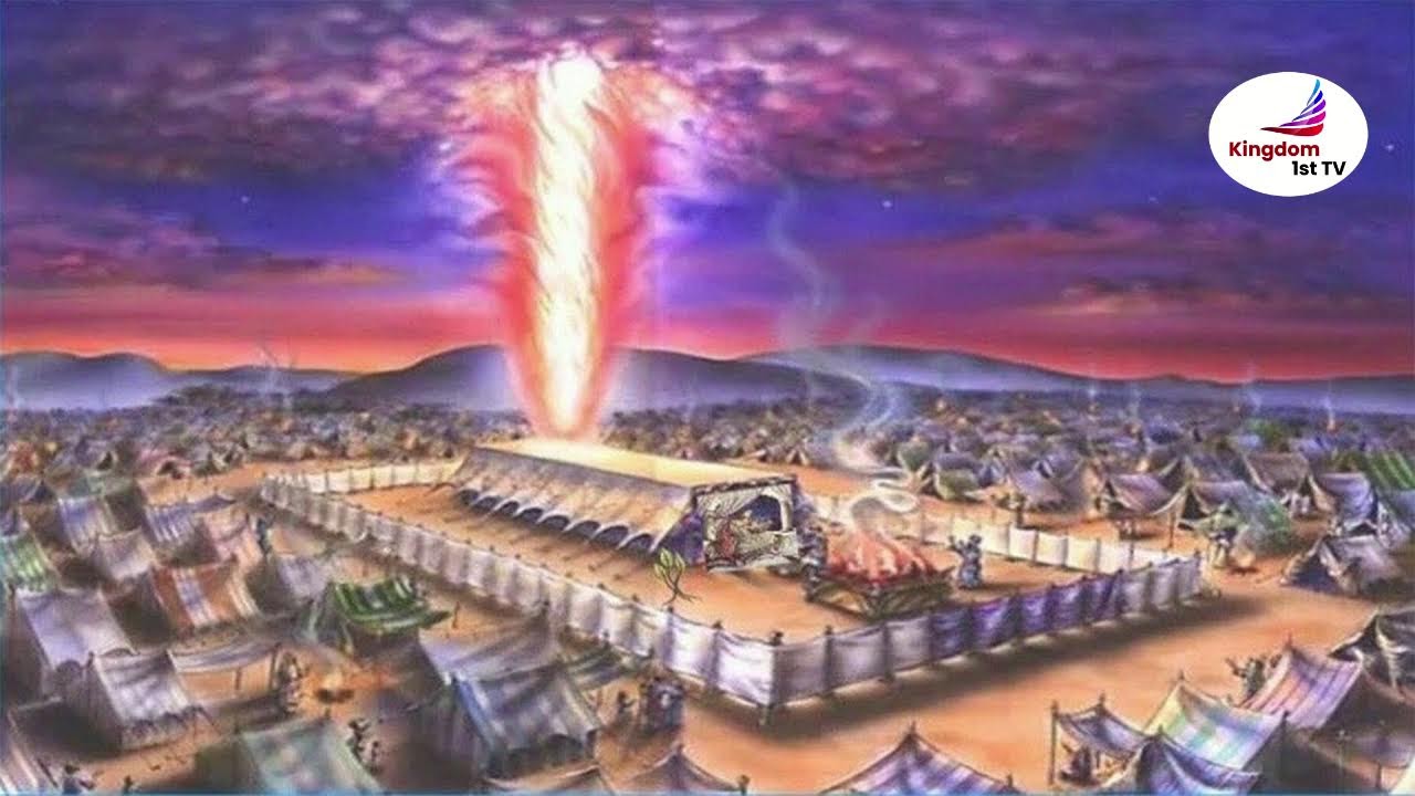 New Creation Realities with Apostle Calvin Cook
