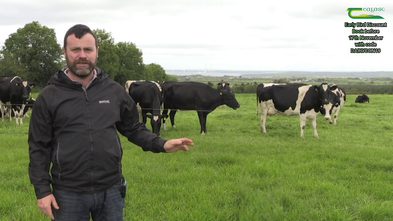 DairyCon19 - Karol Kissane