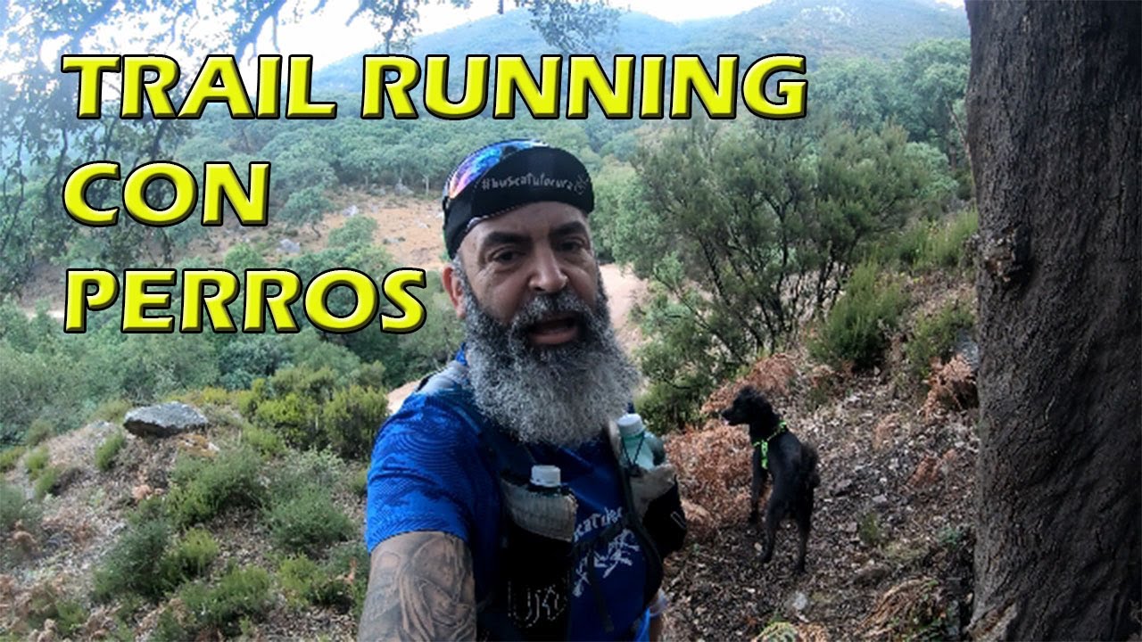 Trail Running con perros