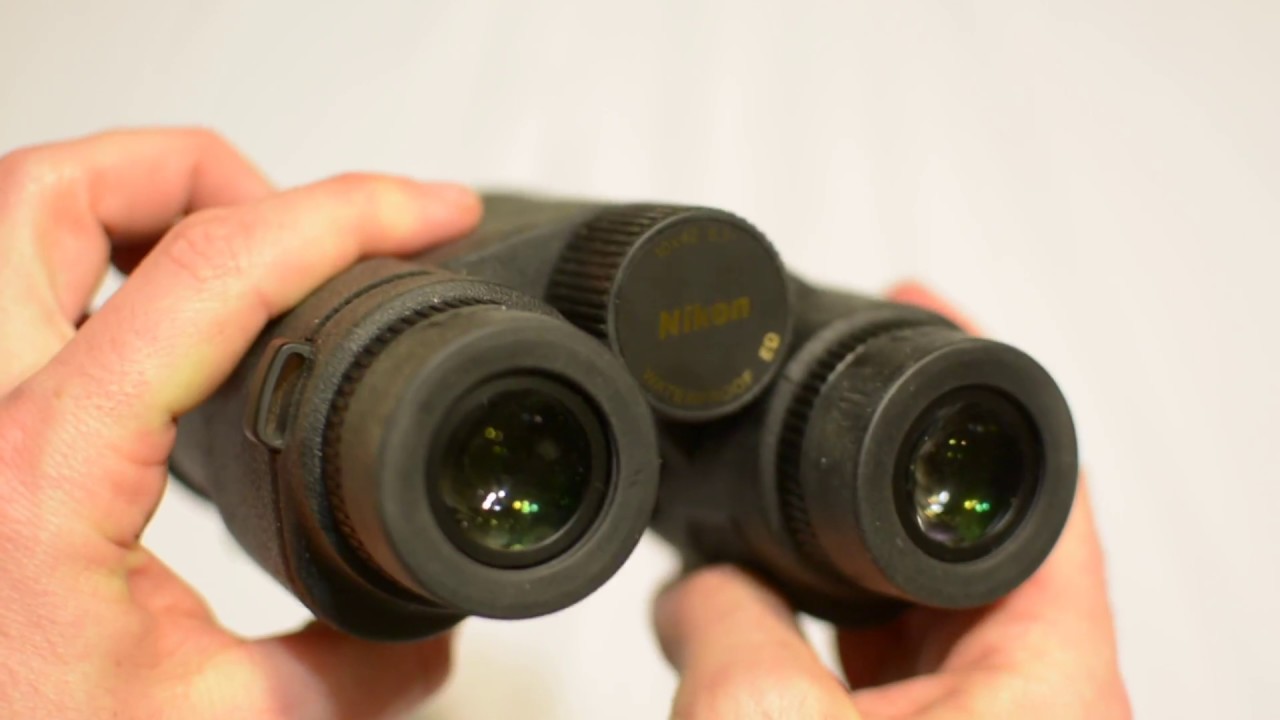 Nikon Laserforce Review