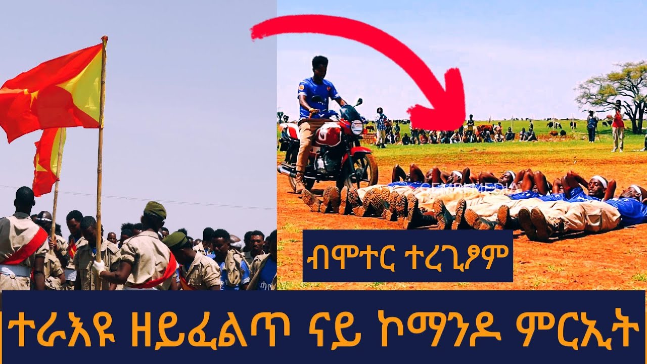 ምድራዊ ዋሕስ ትግራይ ሰራዊት ትግራይ TDF - ኮር 1 ክ/ሰራዊት ሓየት - ኣርሚ 17