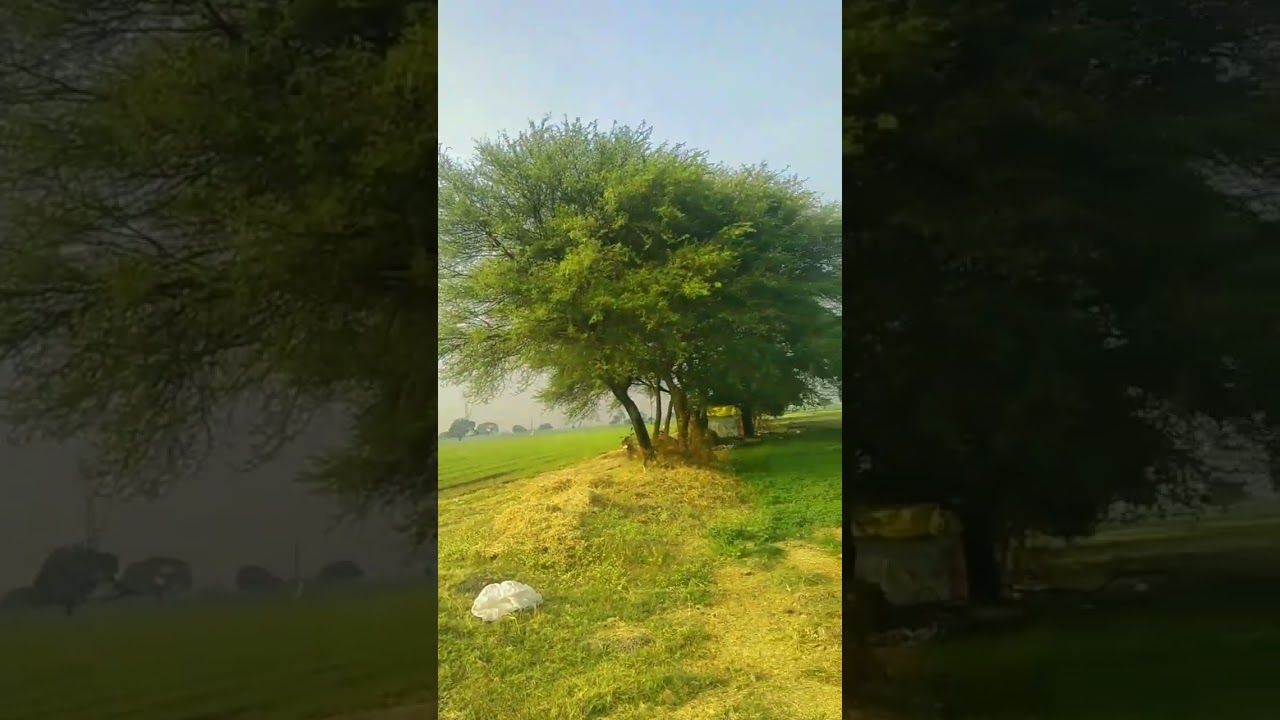 apna farm house ytshorts #video