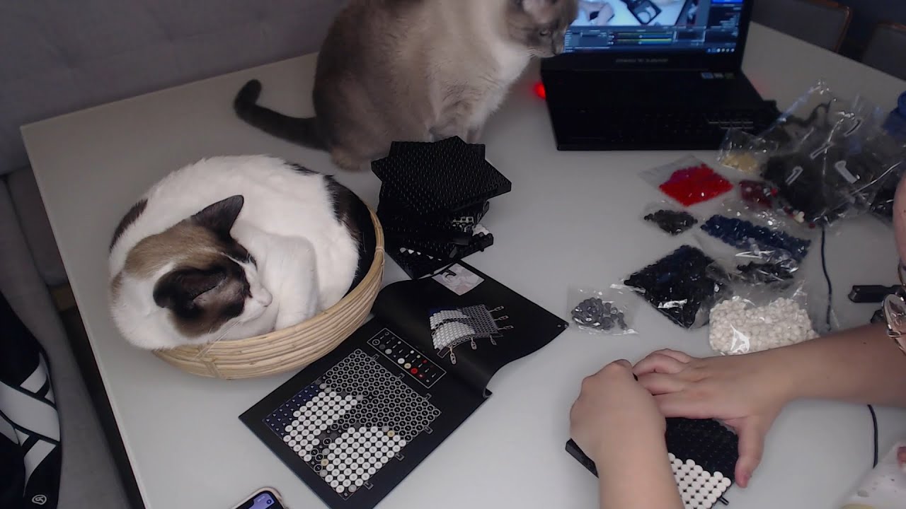 Alanzoka gritando na live da Maethe
