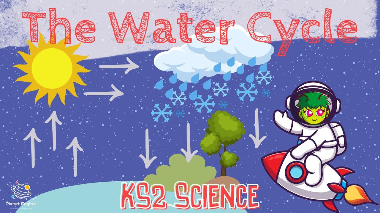 The Water Cycle | KS2 Science | STEM and Beyond