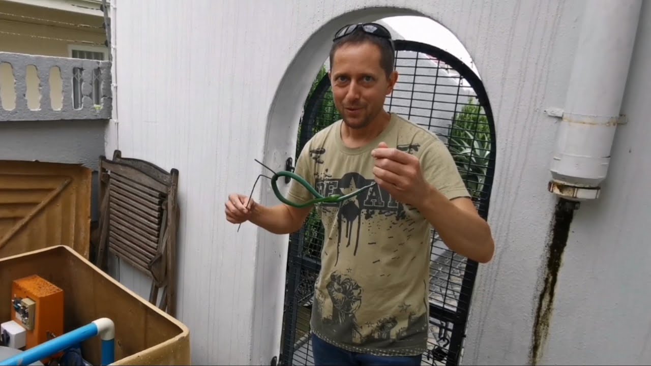 Black Mamba and Green Mamba babies seek shelter from Durban floods!