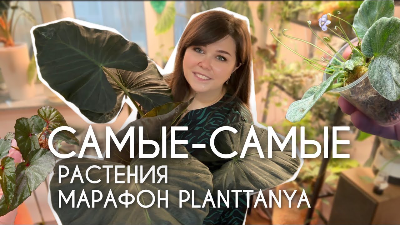 Номинанты на САМЫЕ-САМЫЕ растения