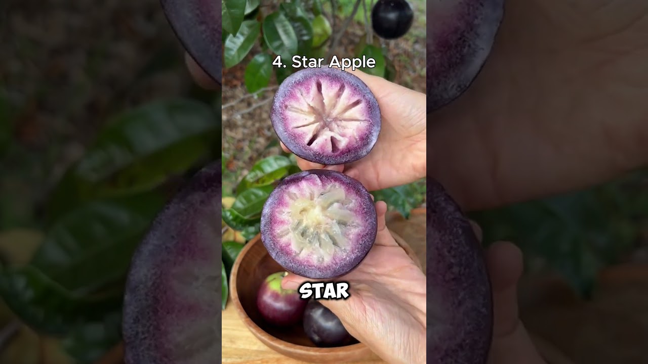 These Rare Fruits Taste Like Dessert!