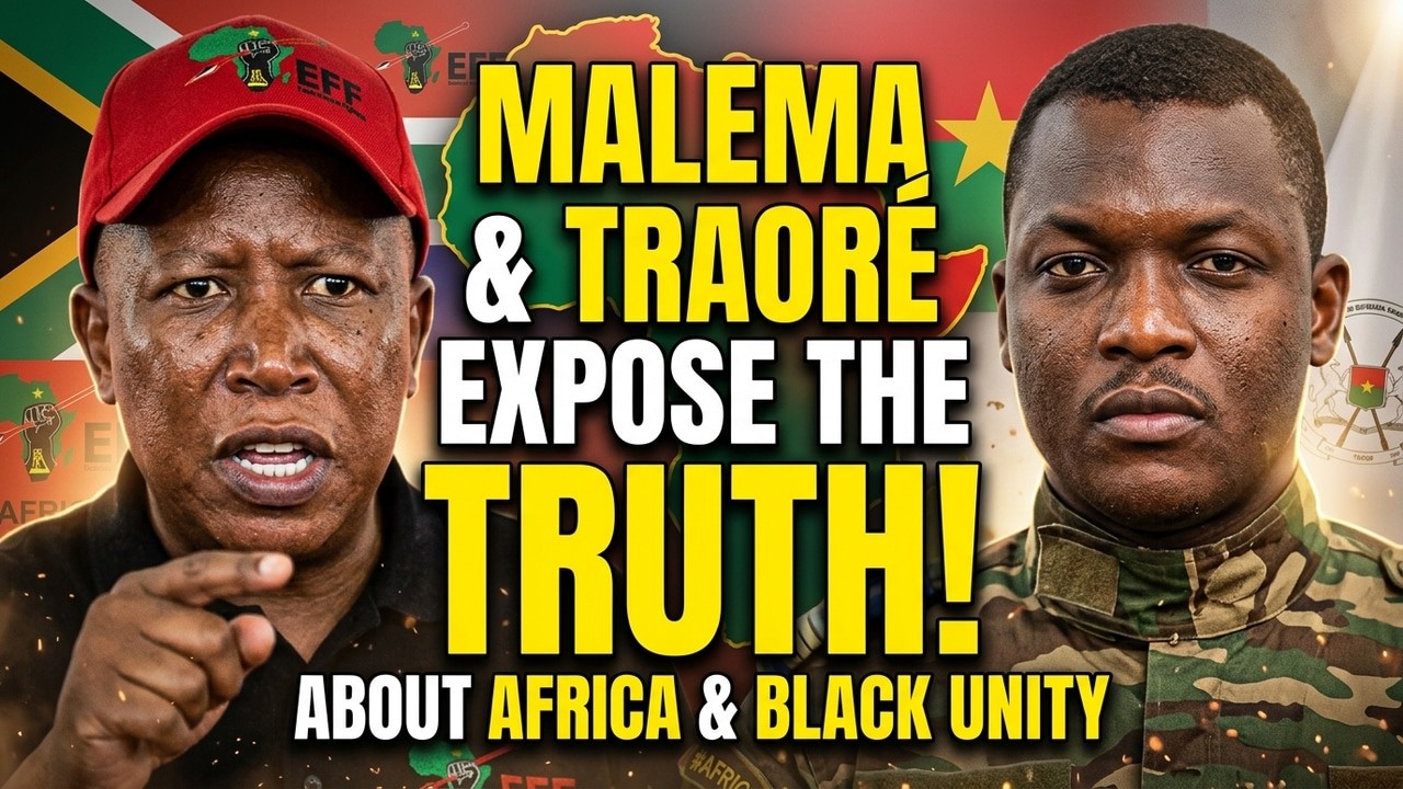 Julius Malema Demands African Solidarity - African Leaders React #africa #breaking