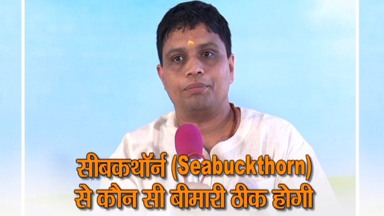 सीबकथॉर्न (Seabuckthorn) से कौन सी बीमारी ठीक होगी | Acharya Balkrishna