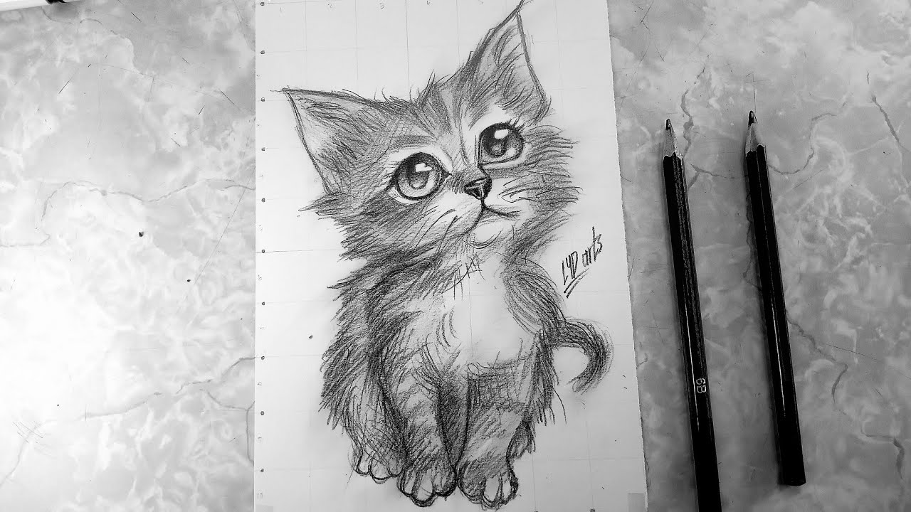 Cat Drawing | Easy Pencil Sketch How to Draw a Cute Cat | Simple Sketch | Satisfying Pencil Drawing