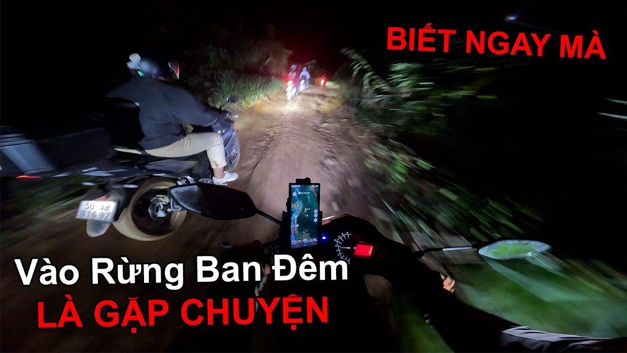 Phượt Tết Tây #kết - Cả Đám Đòi Đi Xuyên Rừng Ban Đêm và cái kết - Xe Ôm Vlog