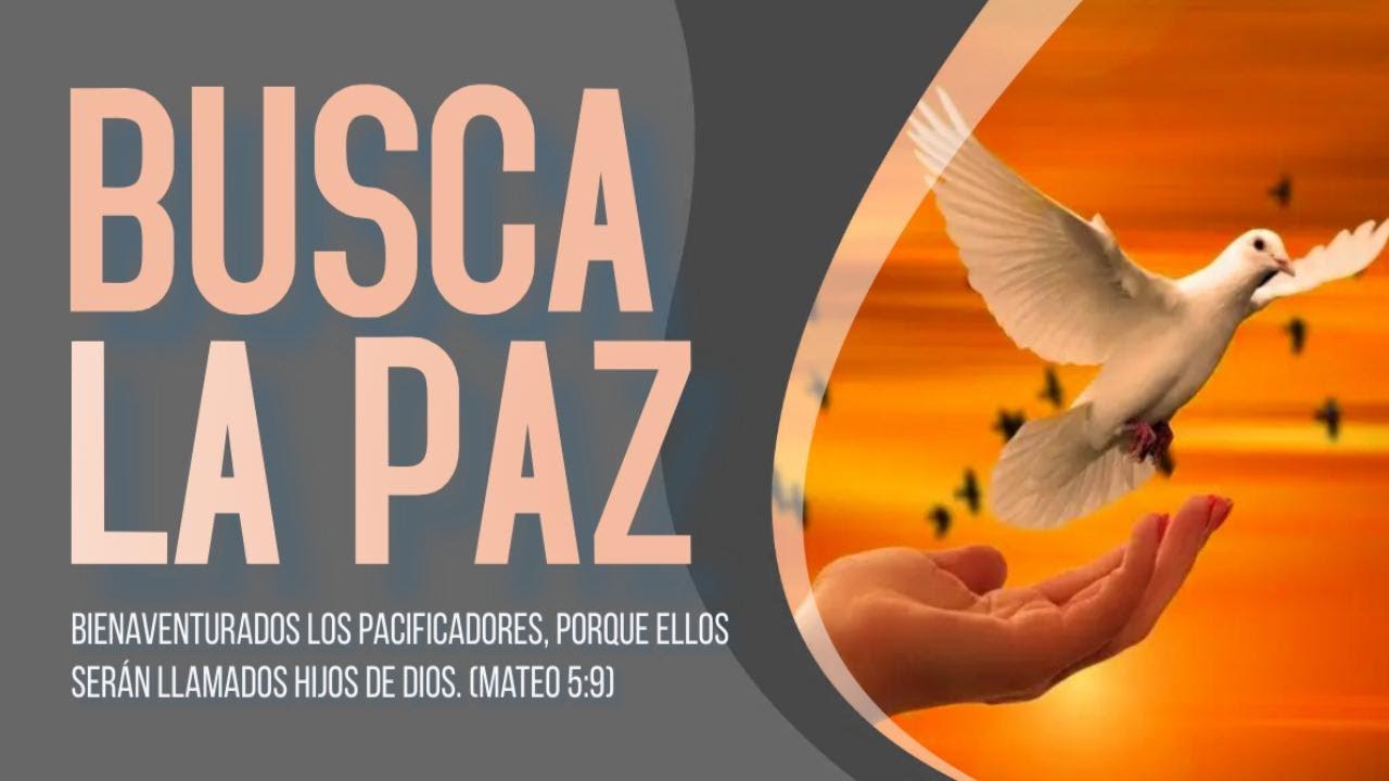 BIENAVENTURADOS los PACIFICADORES 🙏✌